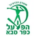 法萨巴夏普尔